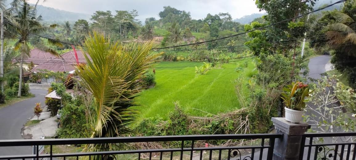 Giri Swari Homestay Sidemen (Bali)